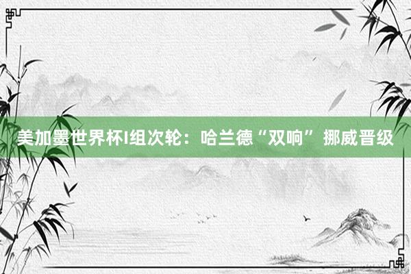 美加墨世界杯I组次轮：哈兰德“双响” 挪威晋级