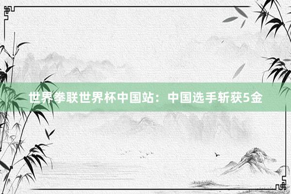 世界拳联世界杯中国站：中国选手斩获5金