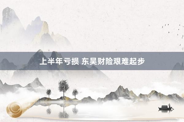 上半年亏损 东吴财险艰难起步