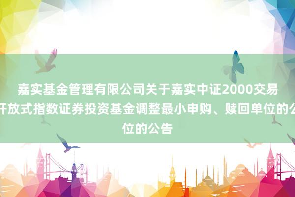 嘉实基金管理有限公司关于嘉实中证2000交易型开放式指数证券投资基金调整最小申购、赎回单位的公告
