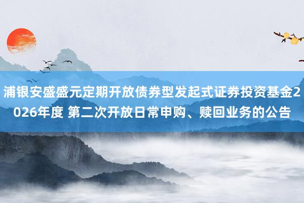 浦银安盛盛元定期开放债券型发起式证券投资基金2026年度 第二次开放日常申购、赎回业务的公告