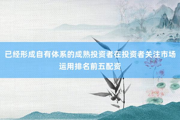 已经形成自有体系的成熟投资者在投资者关注市场运用排名前五配资