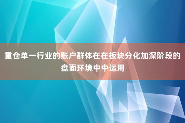 重仓单一行业的账户群体在在板块分化加深阶段的盘面环境中中运用