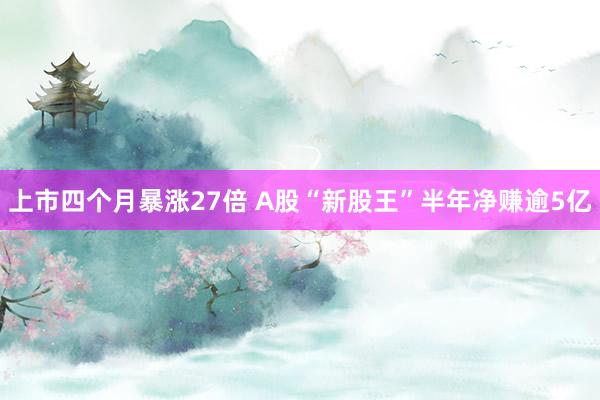 上市四个月暴涨27倍 A股“新股王”半年净赚逾5亿