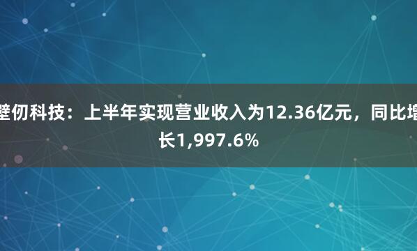 壁仞科技：上半年实现营业收入为12.36亿元，同比增长1,997.6%
