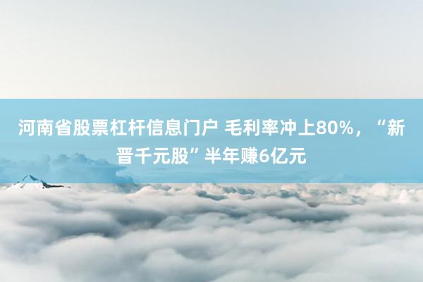 河南省股票杠杆信息门户 毛利率冲上80%,“新晋千元股”半年赚6亿元