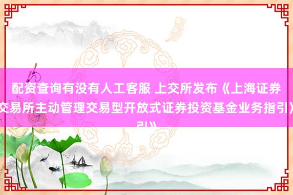 配资查询有没有人工客服 上交所发布《上海证券交易所主动管理交易型开放式证券投资基金业务指引》