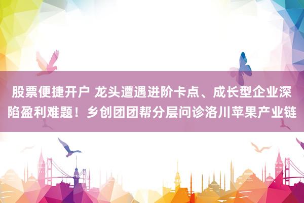 股票便捷开户 龙头遭遇进阶卡点、成长型企业深陷盈利难题！乡创团团帮分层问诊洛川苹果产业链