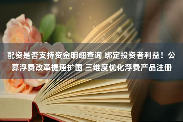 配资是否支持资金明细查询 绑定投资者利益!公募浮费改革提速扩围 三维度优化浮费产品注册