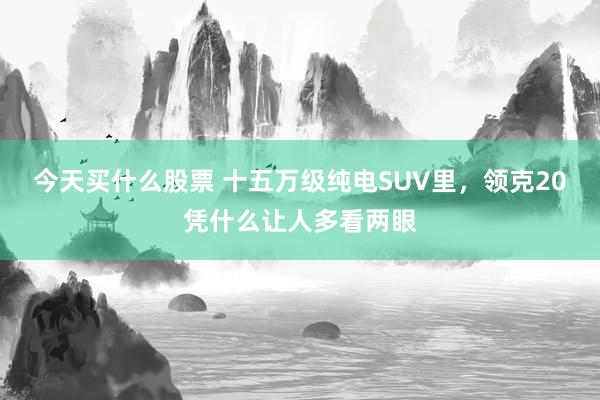 今天买什么股票 十五万级纯电SUV里，领克20凭什么让人多看两眼